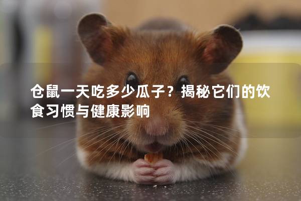 仓鼠一天吃多少瓜子？揭秘它们的饮食习惯与健康影响