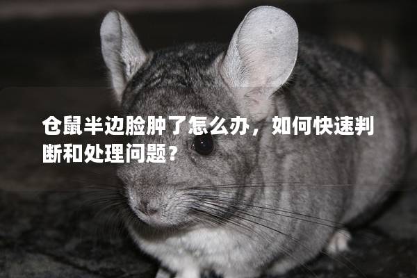 仓鼠半边脸肿了怎么办，如何快速判断和处理问题？