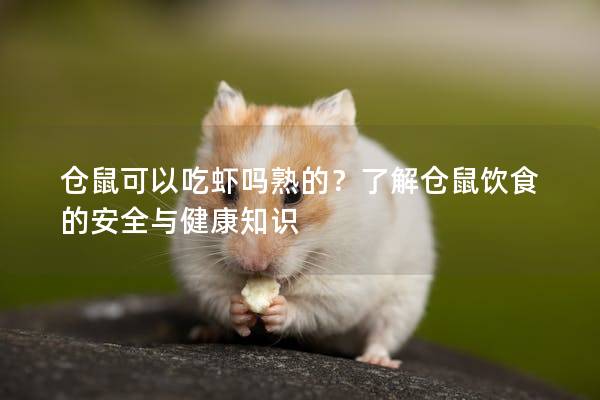 仓鼠可以吃虾吗熟的？了解仓鼠饮食的安全与健康知识
