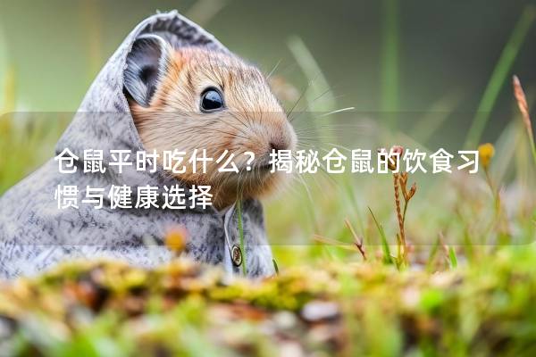 仓鼠平时吃什么？揭秘仓鼠的饮食习惯与健康选择