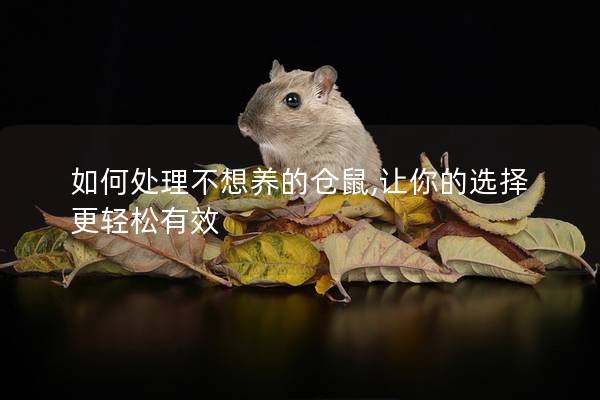 如何处理不想养的仓鼠,让你的选择更轻松有效