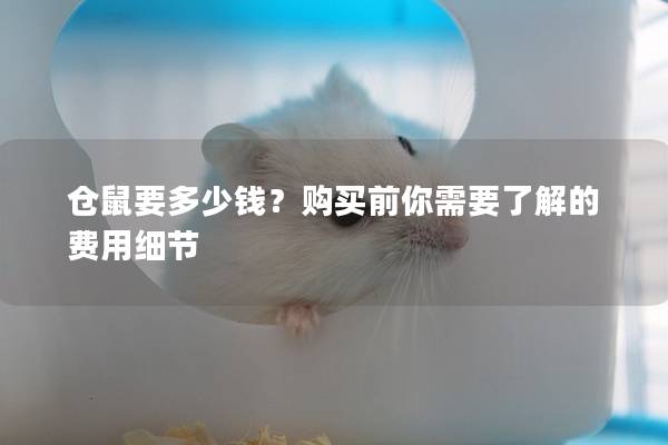 仓鼠要多少钱？购买前你需要了解的费用细节