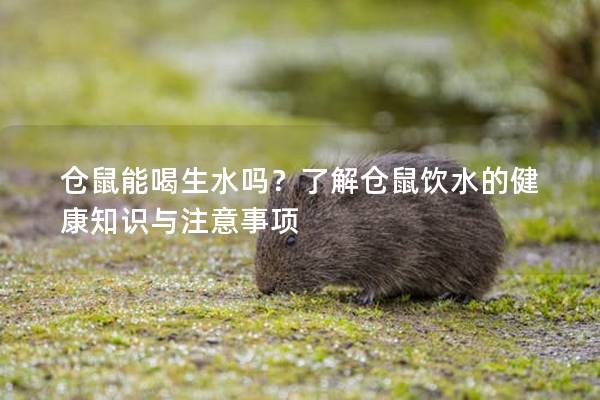 仓鼠能喝生水吗？了解仓鼠饮水的健康知识与注意事项