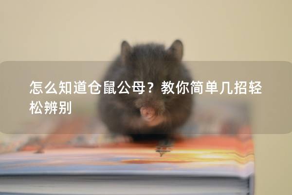怎么知道仓鼠公母？教你简单几招轻松辨别