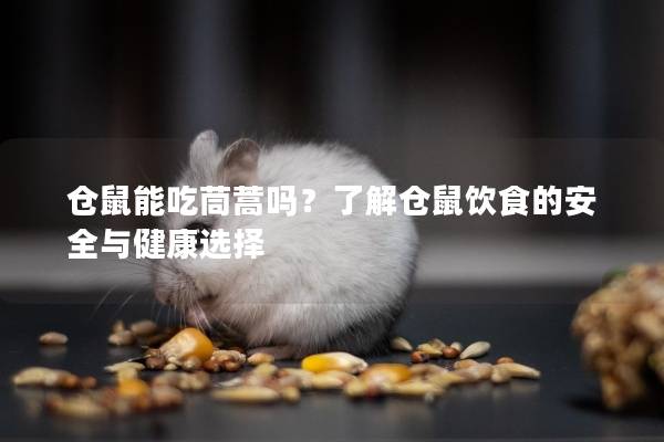 仓鼠能吃茼蒿吗？了解仓鼠饮食的安全与健康选择