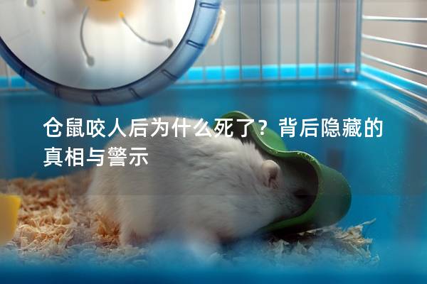 仓鼠咬人后为什么死了？背后隐藏的真相与警示