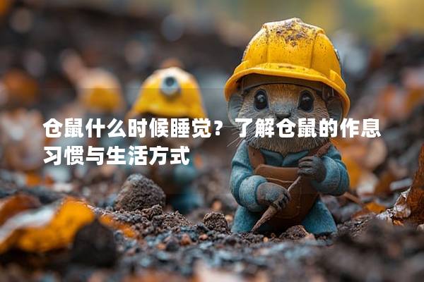 仓鼠什么时候睡觉？了解仓鼠的作息习惯与生活方式