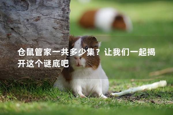 仓鼠管家一共多少集？让我们一起揭开这个谜底吧