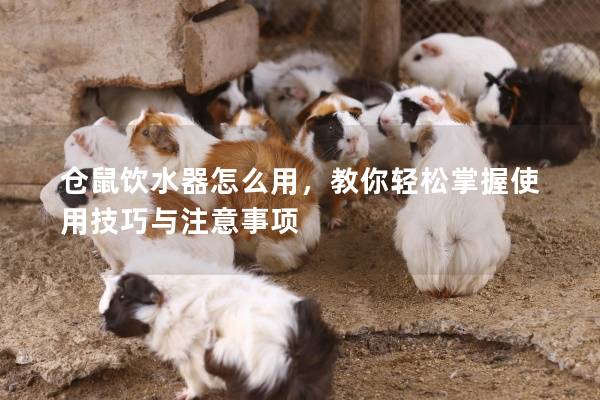 仓鼠饮水器怎么用，教你轻松掌握使用技巧与注意事项