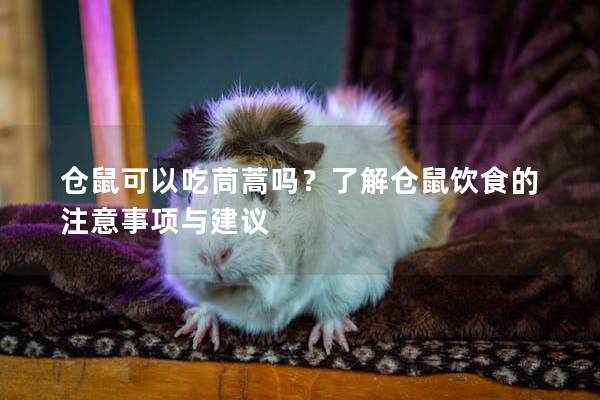 仓鼠可以吃茼蒿吗？了解仓鼠饮食的注意事项与建议