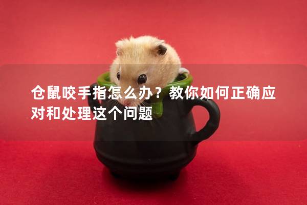 仓鼠咬手指怎么办？教你如何正确应对和处理这个问题