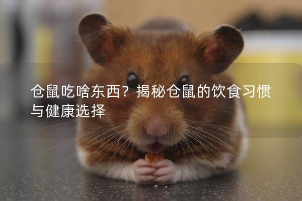 仓鼠吃啥东西？揭秘仓鼠的饮食习惯与健康选择