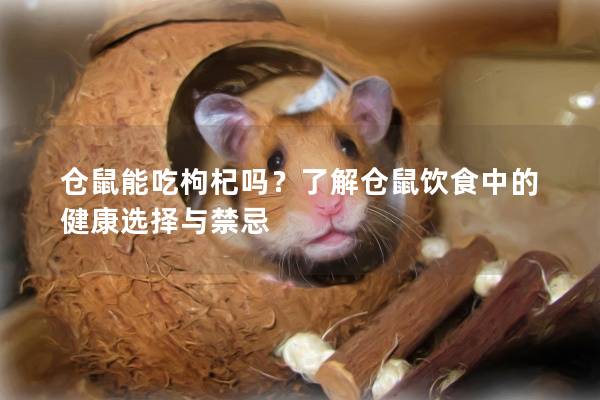 仓鼠能吃枸杞吗？了解仓鼠饮食中的健康选择与禁忌