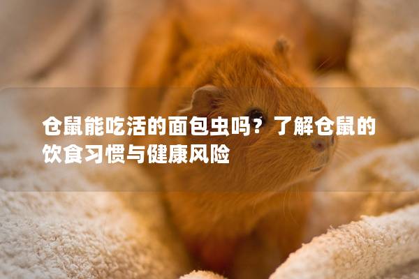 仓鼠能吃活的面包虫吗？了解仓鼠的饮食习惯与健康风险