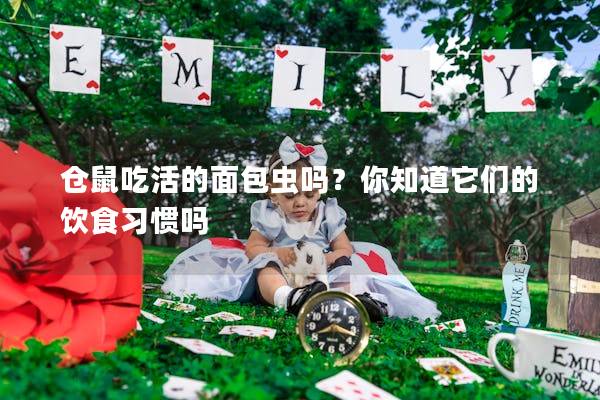 仓鼠吃活的面包虫吗？你知道它们的饮食习惯吗