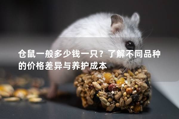 仓鼠一般多少钱一只？了解不同品种的价格差异与养护成本