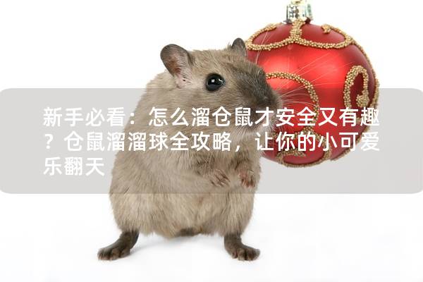 新手必看：怎么溜仓鼠才安全又有趣？仓鼠溜溜球全攻略，让你的小可爱乐翻天