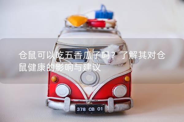 仓鼠可以吃五香瓜子吗？了解其对仓鼠健康的影响与建议