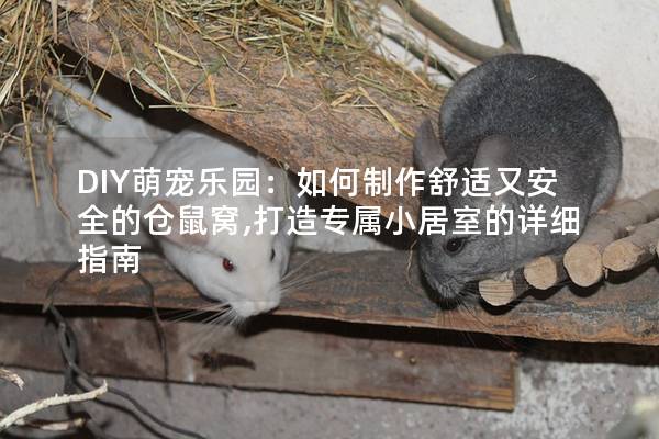 DIY萌宠乐园：如何制作舒适又安全的仓鼠窝,打造专属小居室的详细指南