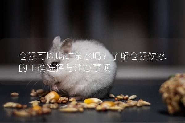 仓鼠可以喝矿泉水吗？了解仓鼠饮水的正确选择与注意事项