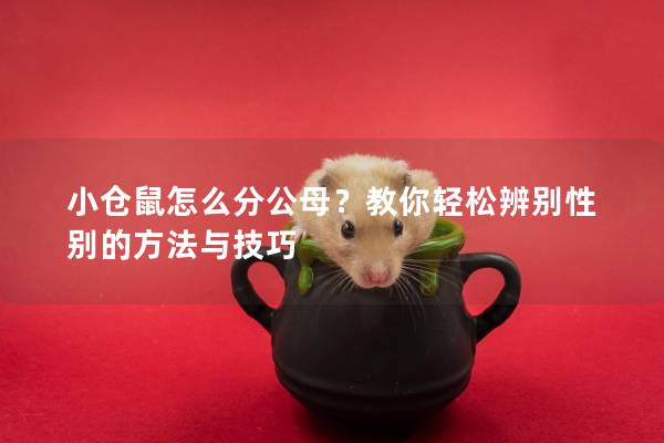 小仓鼠怎么分公母？教你轻松辨别性别的方法与技巧
