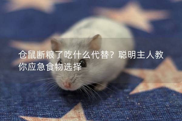 仓鼠断粮了吃什么代替？聪明主人教你应急食物选择