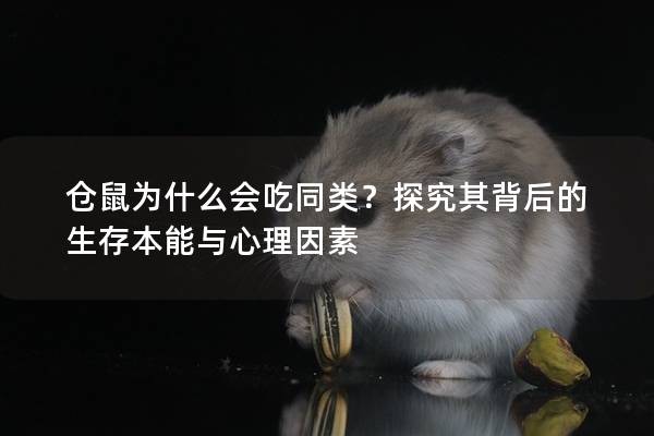 仓鼠为什么会吃同类？探究其背后的生存本能与心理因素