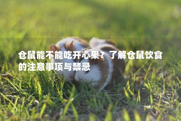 仓鼠能不能吃开心果？了解仓鼠饮食的注意事项与禁忌