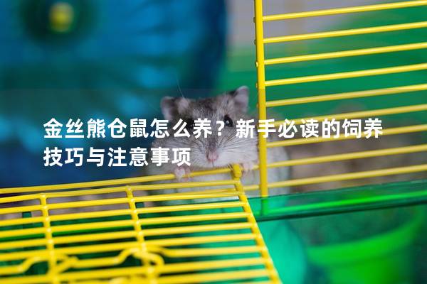 金丝熊仓鼠怎么养？新手必读的饲养技巧与注意事项