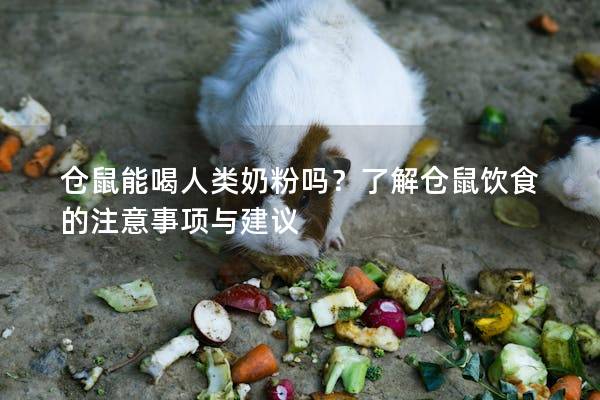 仓鼠能喝人类奶粉吗？了解仓鼠饮食的注意事项与建议
