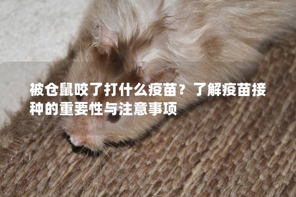 被仓鼠咬了打什么疫苗？了解疫苗接种的重要性与注意事项