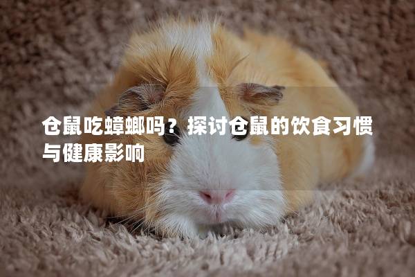 仓鼠吃蟑螂吗？探讨仓鼠的饮食习惯与健康影响