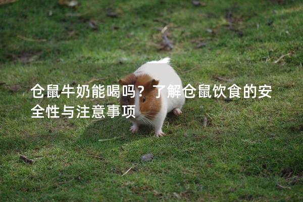仓鼠牛奶能喝吗？了解仓鼠饮食的安全性与注意事项
