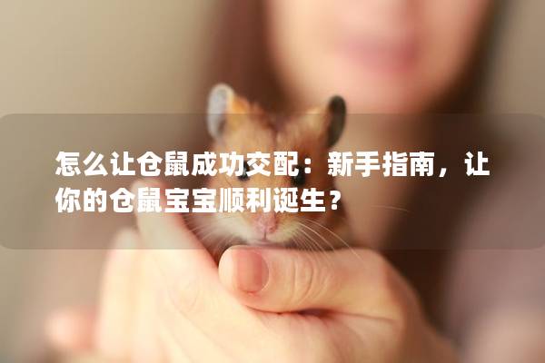 怎么让仓鼠成功交配：新手指南，让你的仓鼠宝宝顺利诞生？