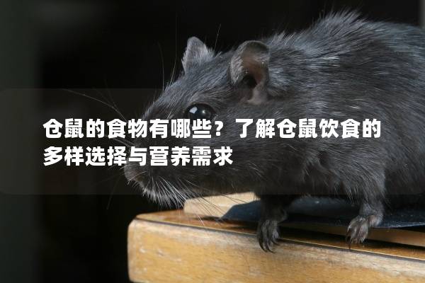 仓鼠的食物有哪些？了解仓鼠饮食的多样选择与营养需求