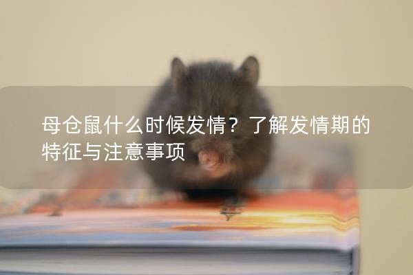 母仓鼠什么时候发情？了解发情期的特征与注意事项