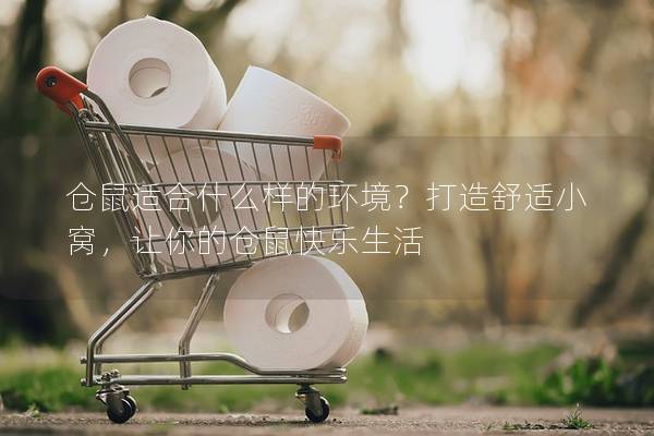 仓鼠适合什么样的环境？打造舒适小窝，让你的仓鼠快乐生活