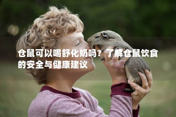 仓鼠可以喝舒化奶吗？了解仓鼠饮食的安全与健康建议