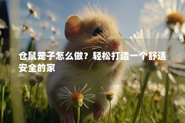 仓鼠笼子怎么做？轻松打造一个舒适安全的家