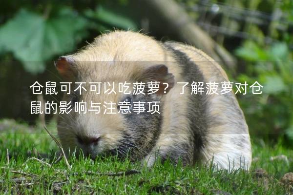 仓鼠可不可以吃菠萝？了解菠萝对仓鼠的影响与注意事项