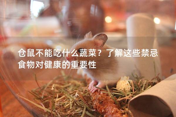 仓鼠不能吃什么蔬菜？了解这些禁忌食物对健康的重要性
