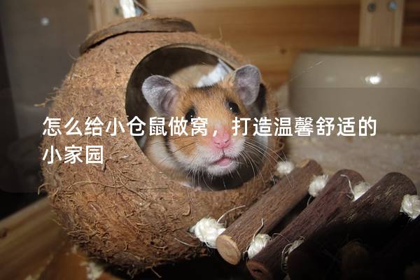 怎么给小仓鼠做窝，打造温馨舒适的小家园