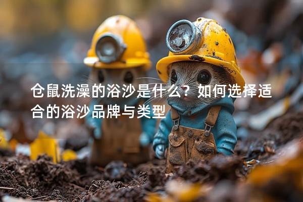 仓鼠洗澡的浴沙是什么？如何选择适合的浴沙品牌与类型