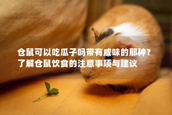 仓鼠可以吃瓜子吗带有咸味的那种？了解仓鼠饮食的注意事项与建议
