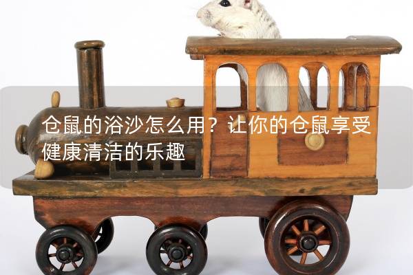仓鼠的浴沙怎么用？让你的仓鼠享受健康清洁的乐趣