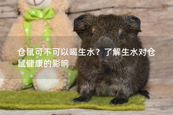 仓鼠可不可以喝生水？了解生水对仓鼠健康的影响