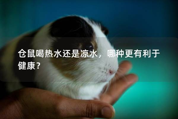 仓鼠喝热水还是凉水，哪种更有利于健康？