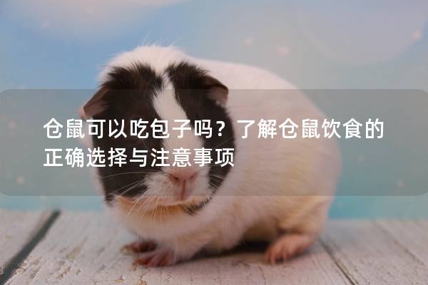 仓鼠可以吃包子吗？了解仓鼠饮食的正确选择与注意事项