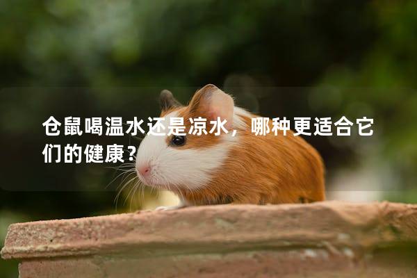 仓鼠喝温水还是凉水，哪种更适合它们的健康？