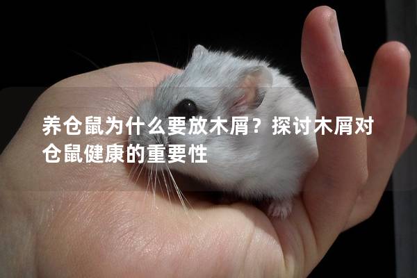 养仓鼠为什么要放木屑？探讨木屑对仓鼠健康的重要性
